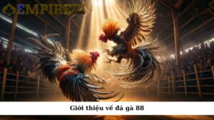 Giới thiệu về đá gà 88